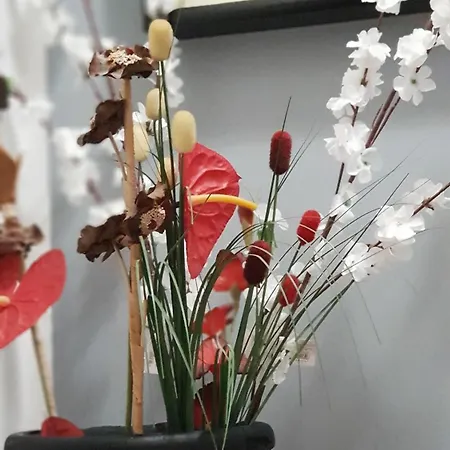 Pinhouse Casa de Férias Palermo